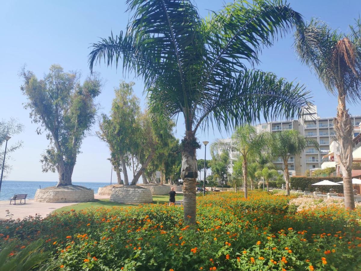 Galatex Beachfront 1St Line Sea View Suites - Best Location Peaceful Green Place Limassol Exterior photo